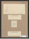 Coscinodiscus sp. (de-Toni-Nr.: Genus 202) Zeichnungen Sammlung Grunow Nr. 8948 (NHMW-BOT-W0378634)